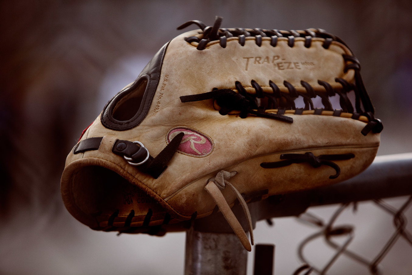 Baseball Glove 1