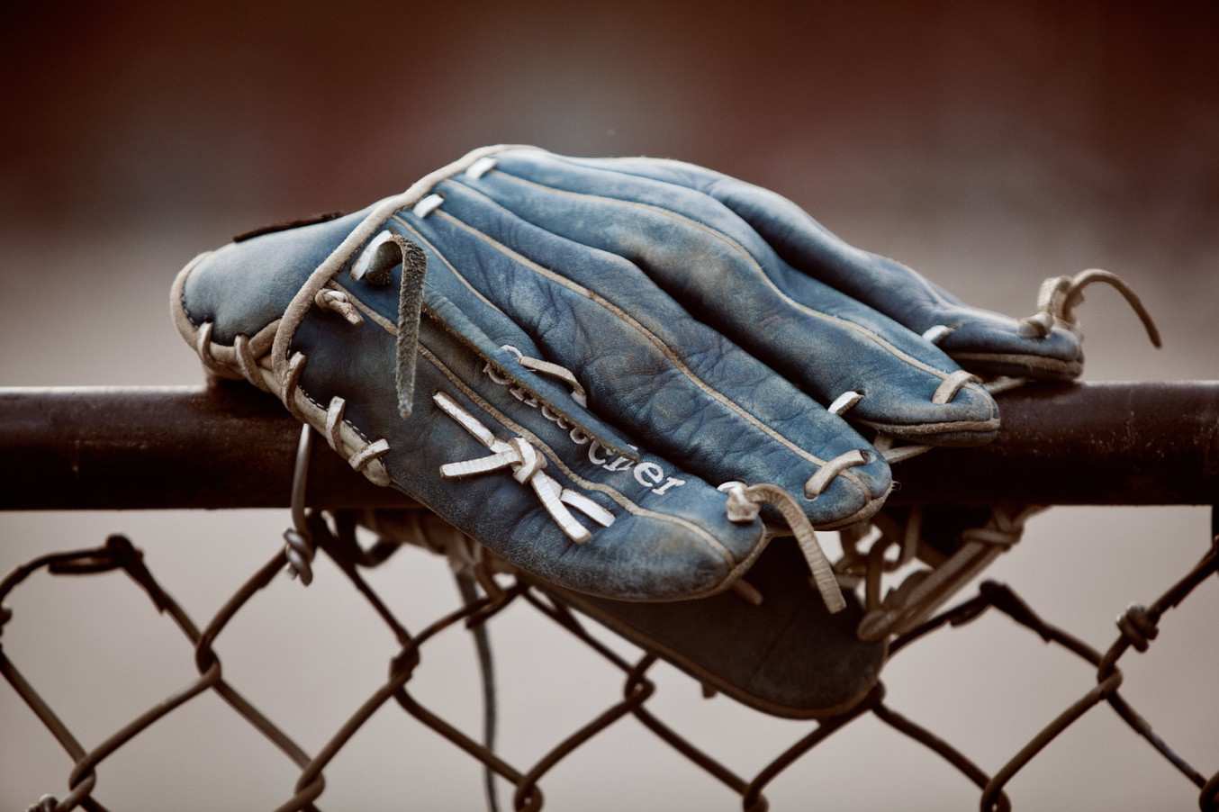 Baseball glove 2