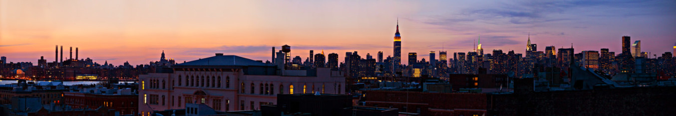 Manhattan Green Point roof Low Contrast